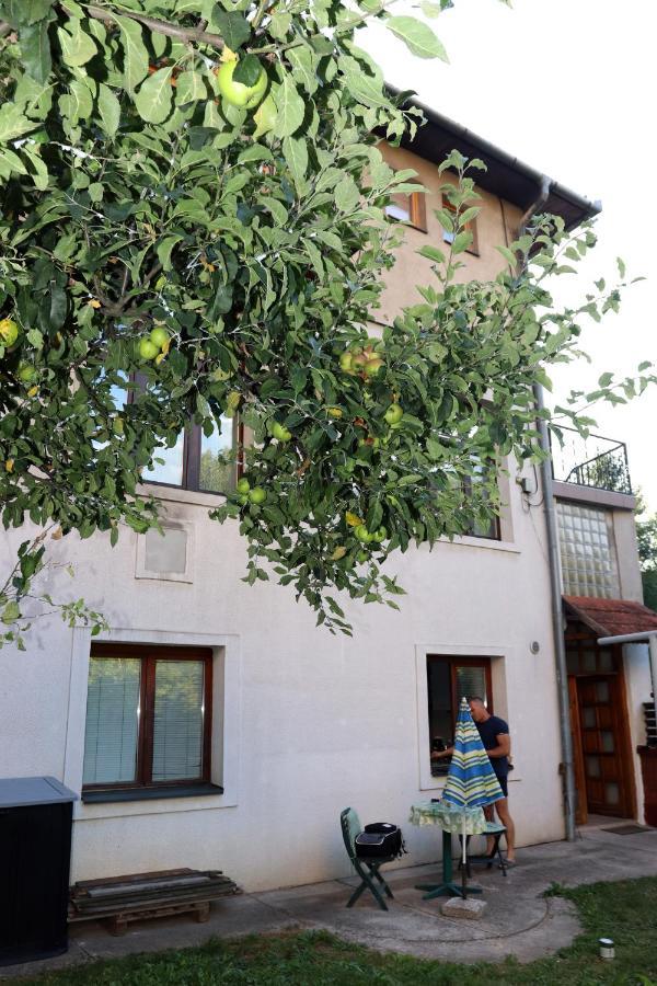 Vila Rijad SJJ Exteriör bild