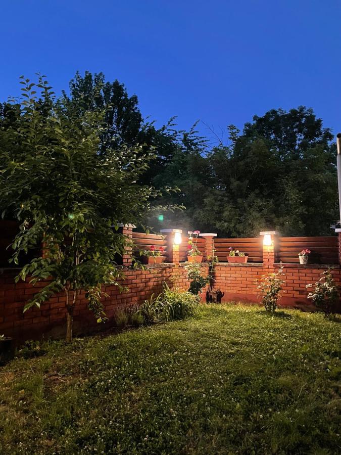 Vila Rijad SJJ Exteriör bild